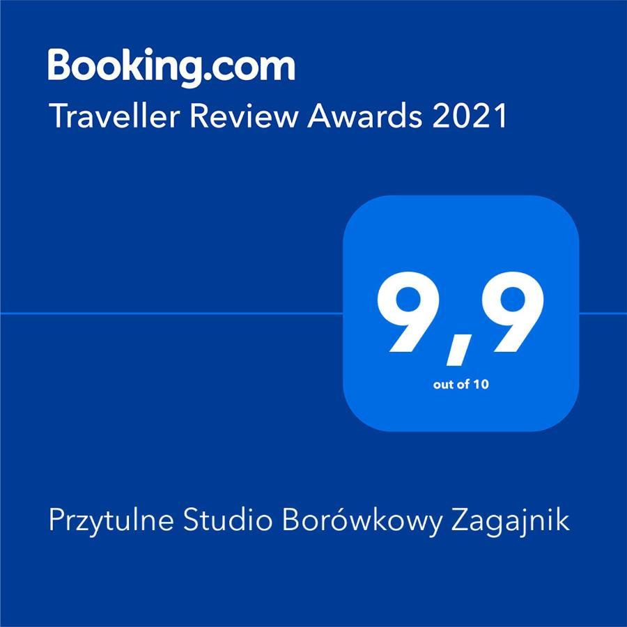 Przytulne Studio Borowkowy Zagajnik Piechowice Kültér fotó