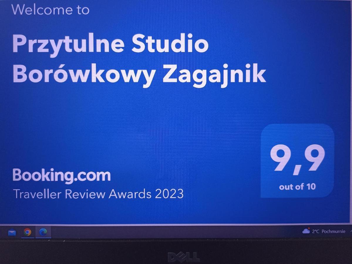 Przytulne Studio Borowkowy Zagajnik Piechowice Kültér fotó